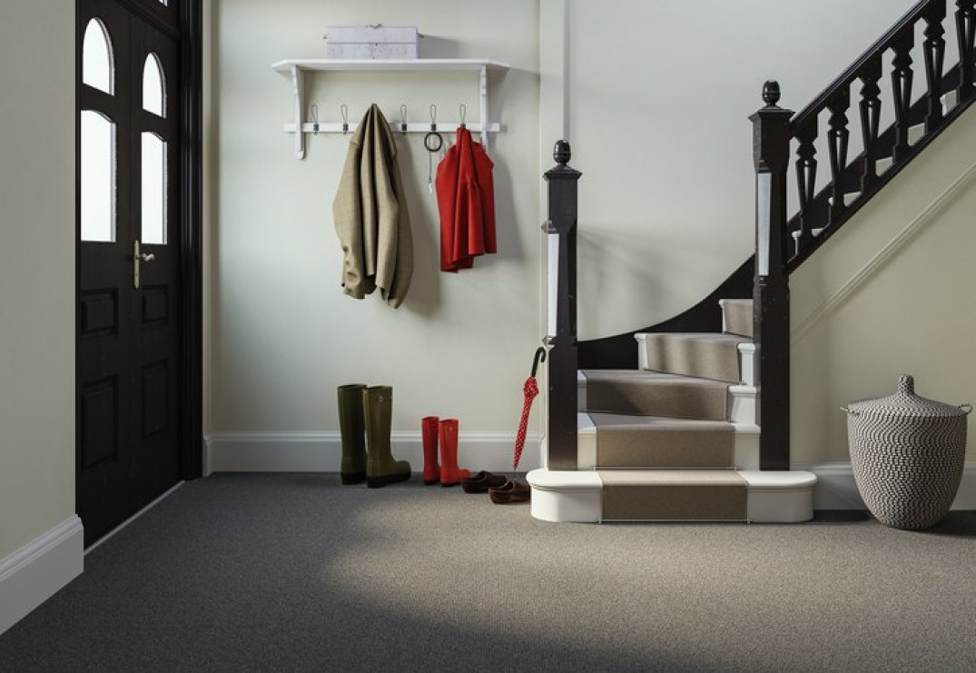 Ковровые покрытия Гринвич (Greenwich) (Edel Carpets